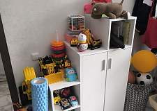 Лестница-стеллаж Фанки Кидз BMS