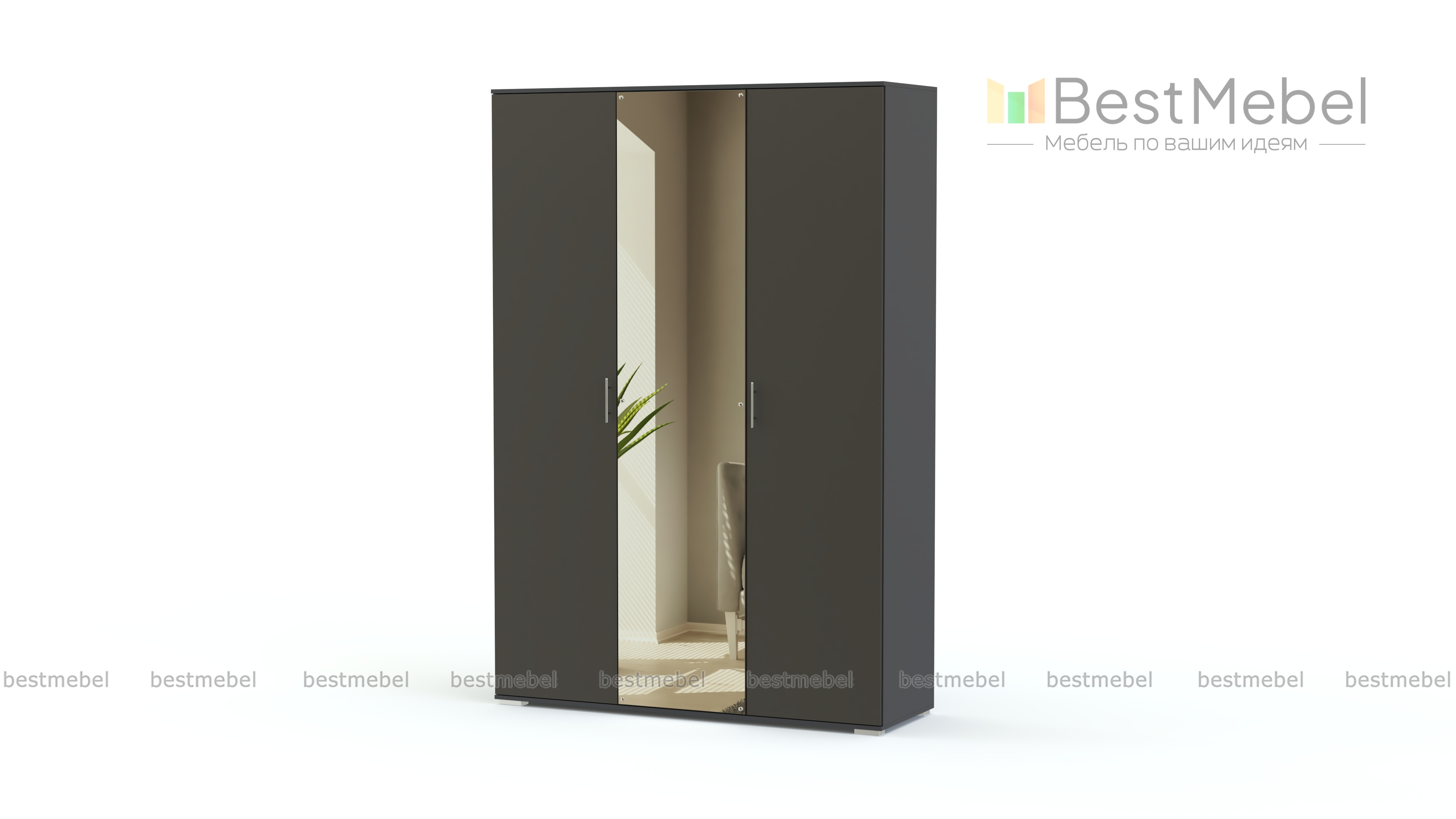 Распашной шкаф Селин BMS